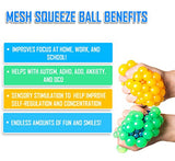 KELZ KIDZ Quality & Durable Large (2.9 Inch) Mesh Squishy Balls with Exclusive Sewn Mesh! (Multi, 12 Pack)